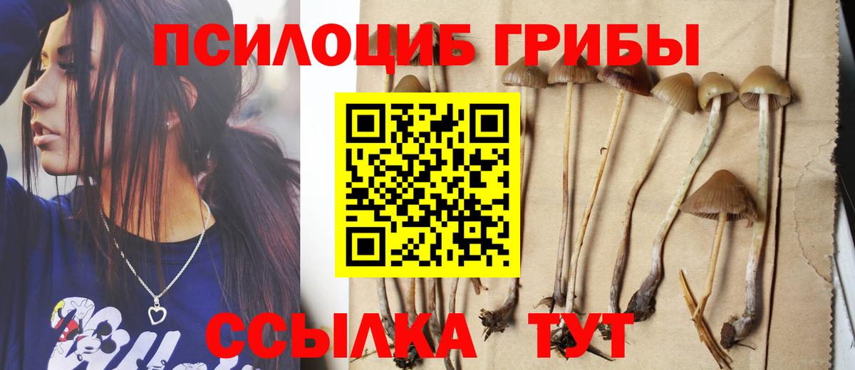 Галлюциногенные грибы Magic Shrooms  Вход с VPN  Галлюциногенные грибы прущие грибы  Тимашёвск 