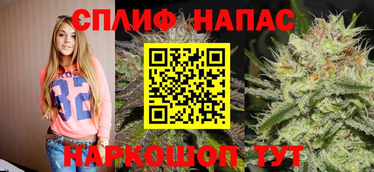 Канабис тримм  Вход с VPN  Тимашёвск  Бошки марихуана конопля 